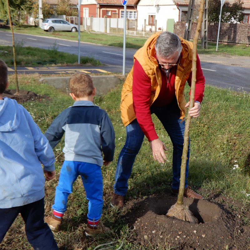 Közösségi faültetés Berettyóújfaluban 06